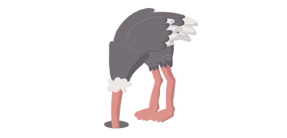 Ostrich